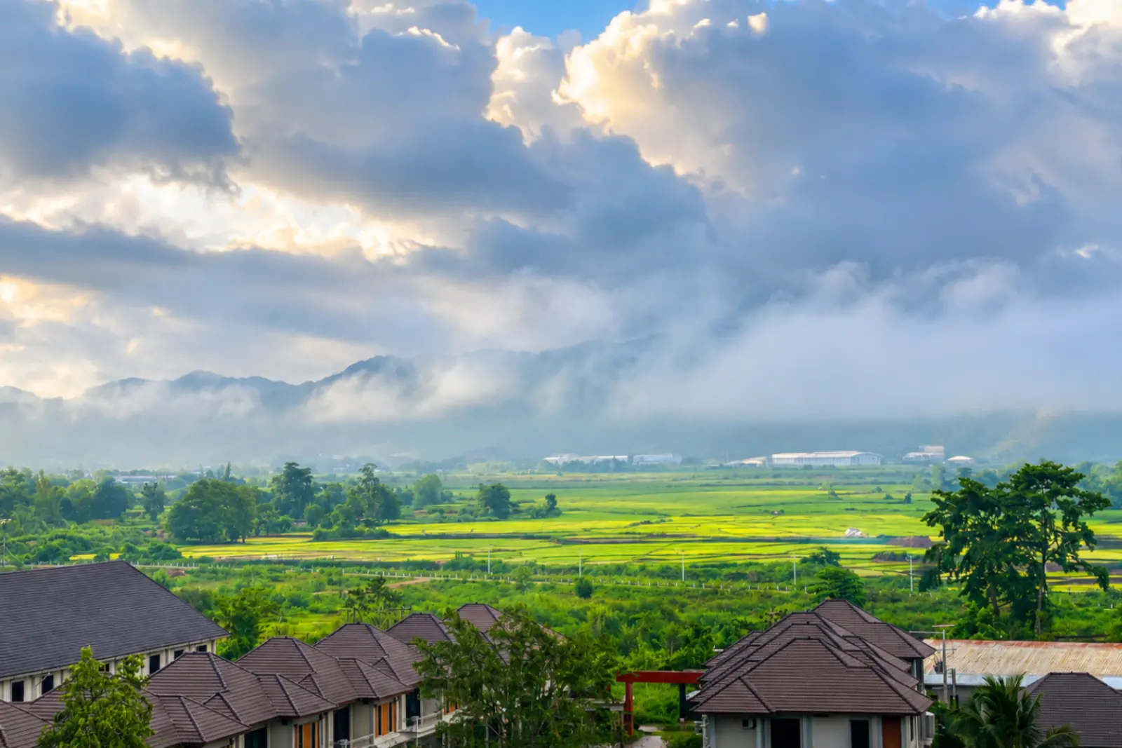 Morning mist drifting over the rice fields below the hotel