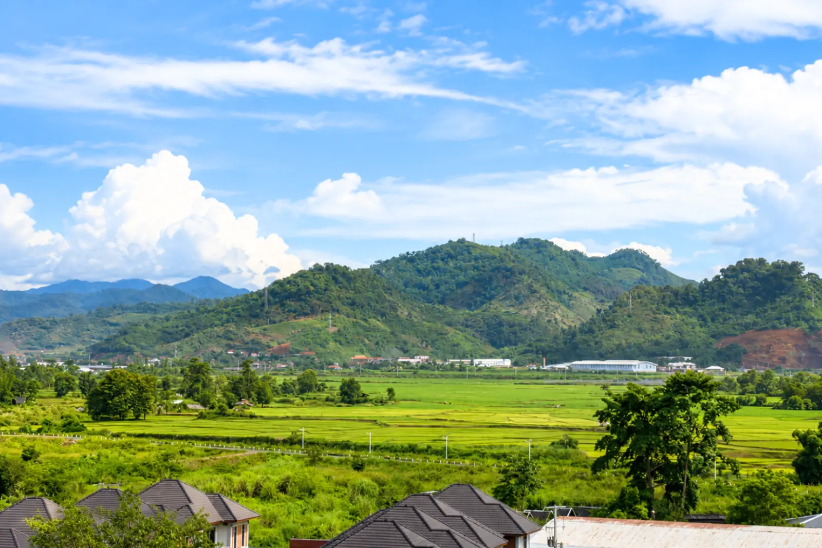 Green rice fields running up to the mountains outside Muang Xai