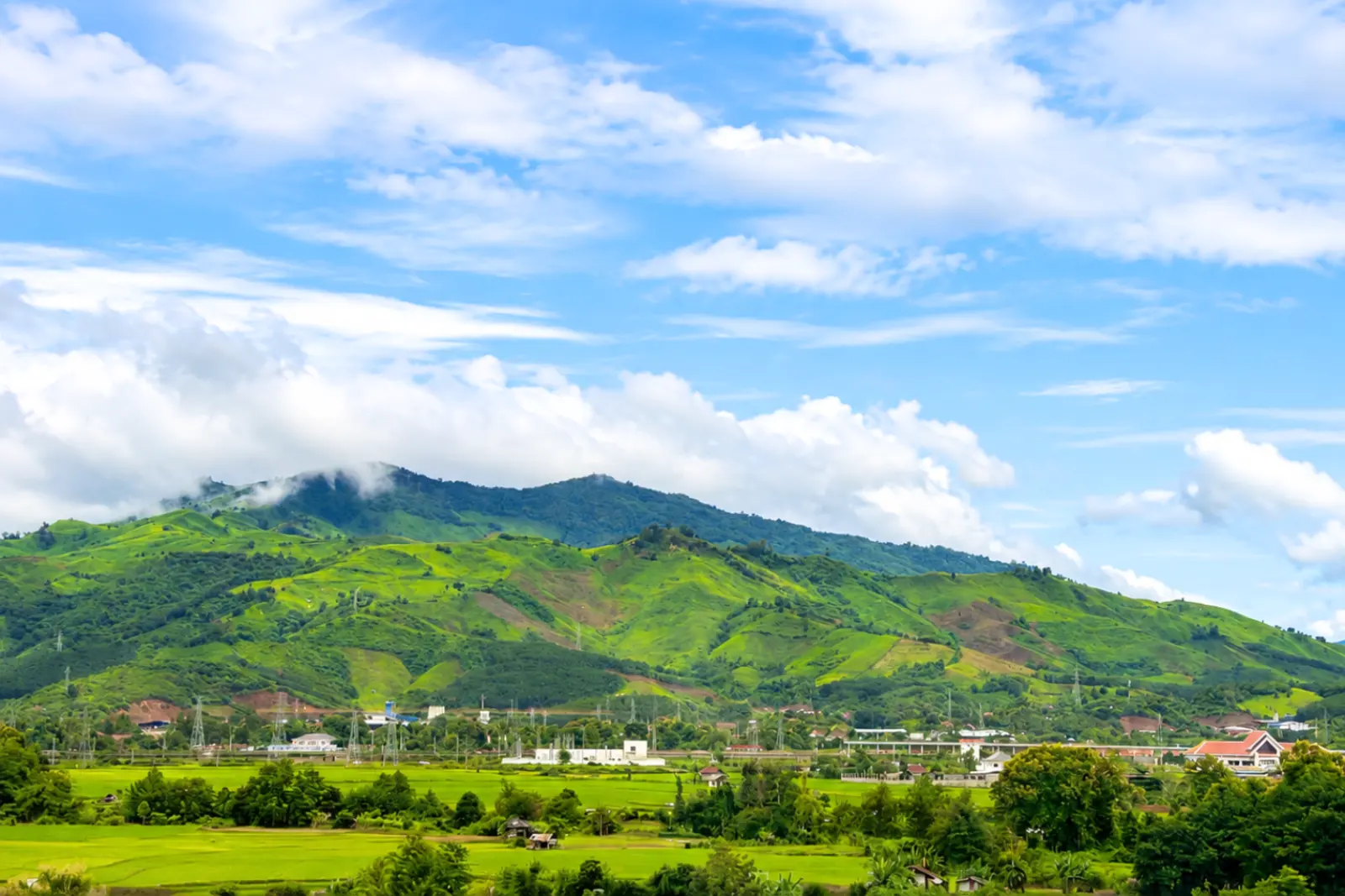 A single green peak rising over the paddy fields at the edge of town